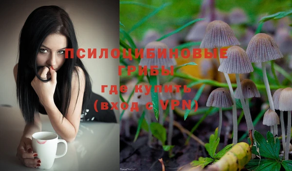 СК Володарск